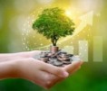 Energetický hlavolam: Jak vyřešit nestabilitu obnovitelných zdrojů